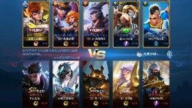 二舅王者爆料视频大全最新  第1张